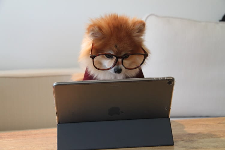 digital job search